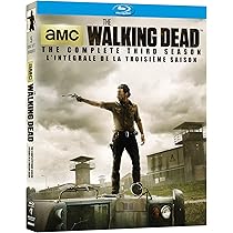 The Walking Dead: Season 4 - Limited Collector's Edition